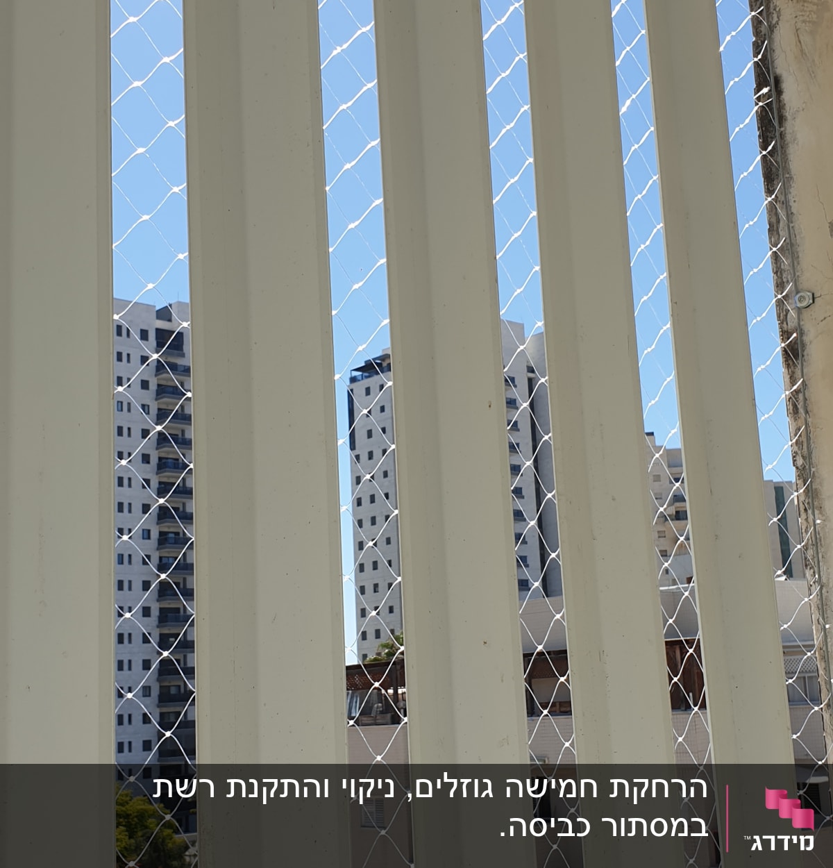 רשת מתכת מותקנת על גדר למניעת כניסת יונים
